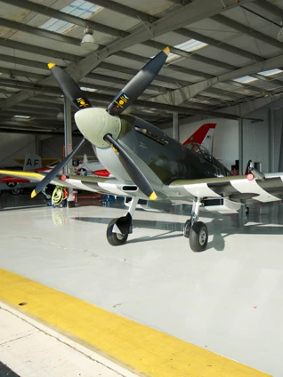 歪歪私人影院一不卡